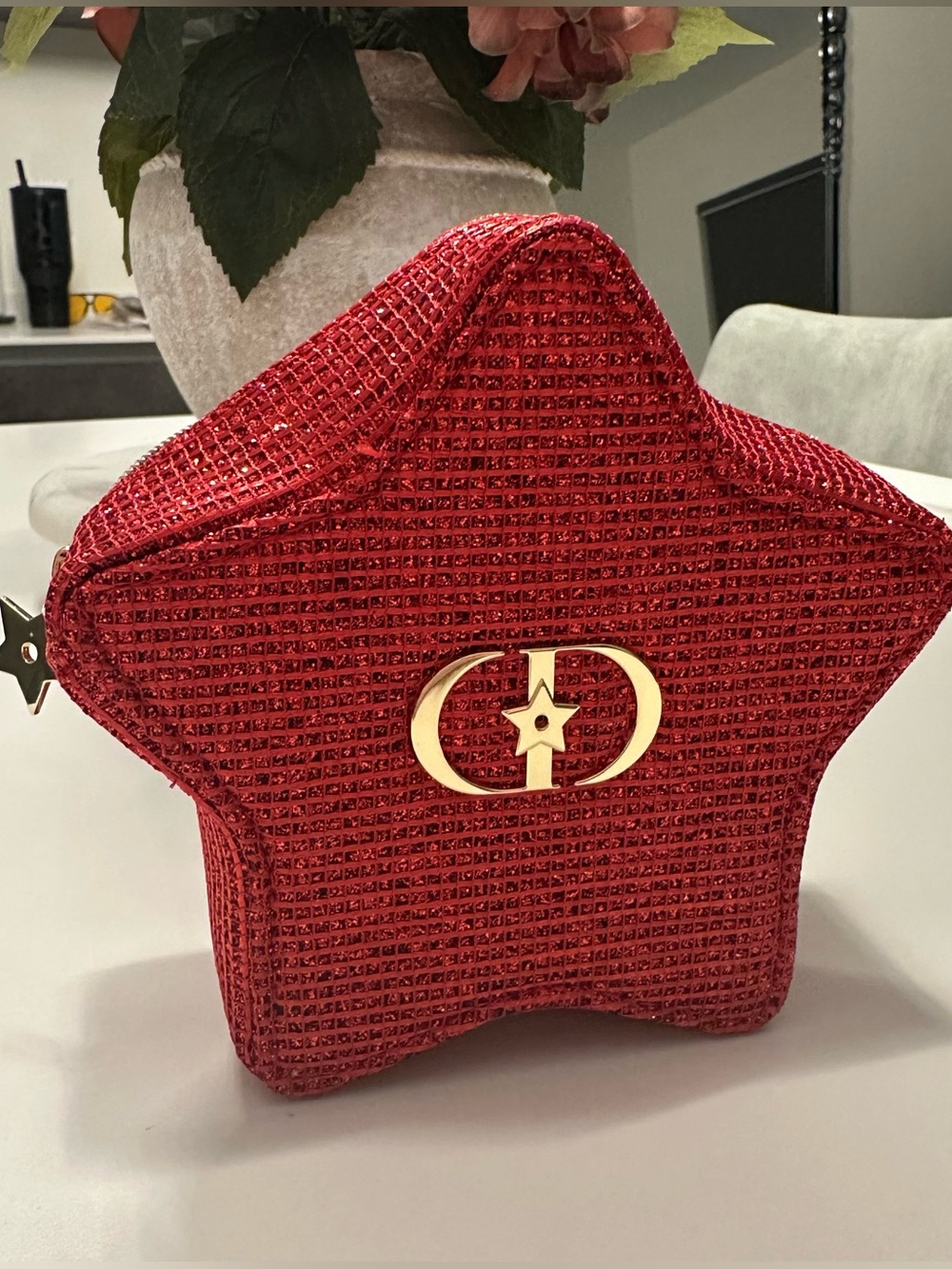Dior Cosmetic Case - Red Star